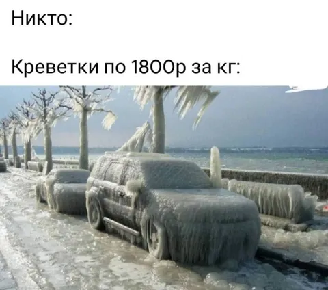 Креветки по 1800 рублей за килограмм