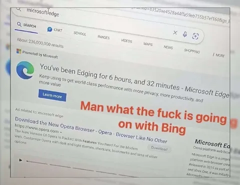 Bing Has Gone Too Far