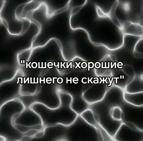 Кошечки лишнего не скажут