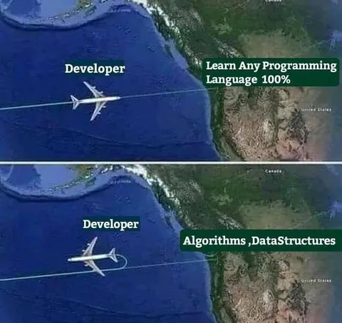 Developer Learns Algorithms