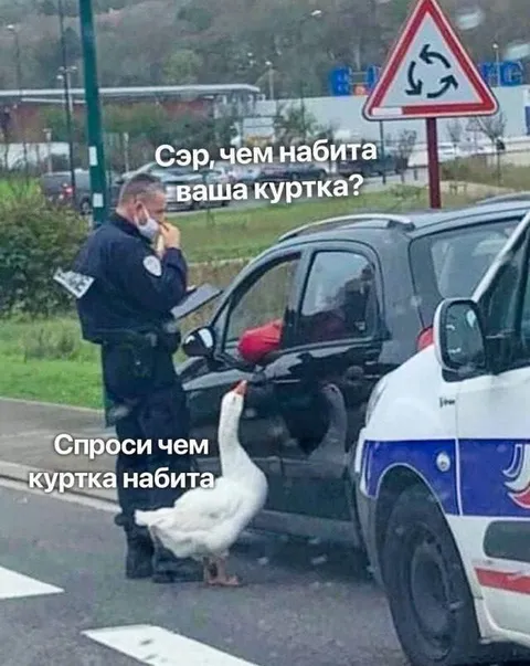 Спроси, чем куртка набита