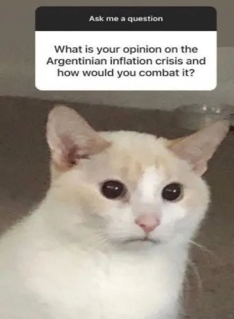 Cat Asked About Inflation