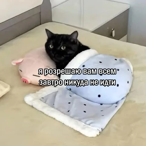 Разрешаю завтра никуда не идти