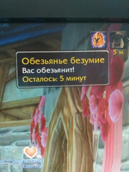 Обезьянье безумие на пять минут