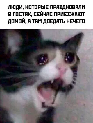 Гости приехали домой, а еды нет
