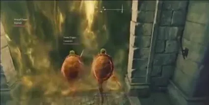 Bozzo Gets Clapped by Turtles