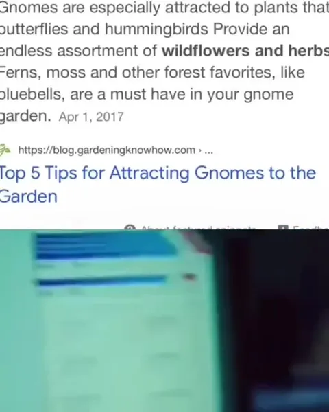 Gnome Garden Brain Meltdown