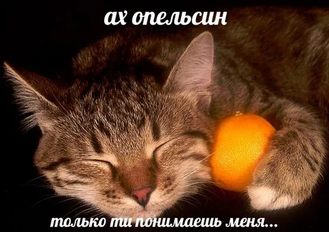 Только ты понимаешь меня