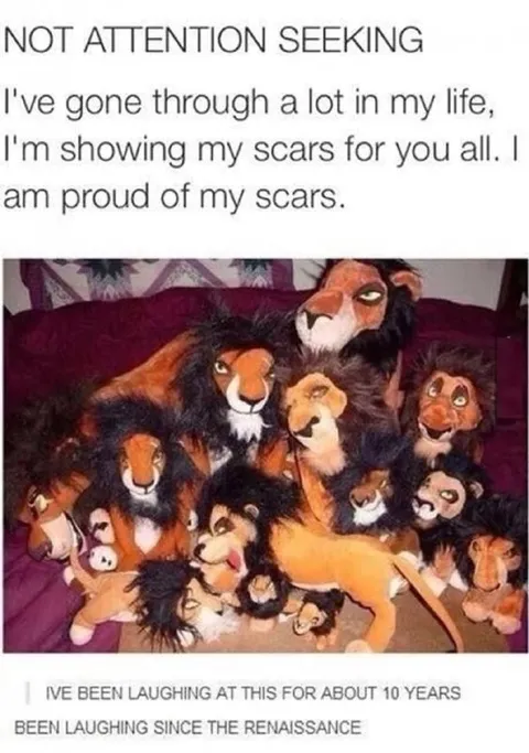 Not Attention Seeking Lion Scars