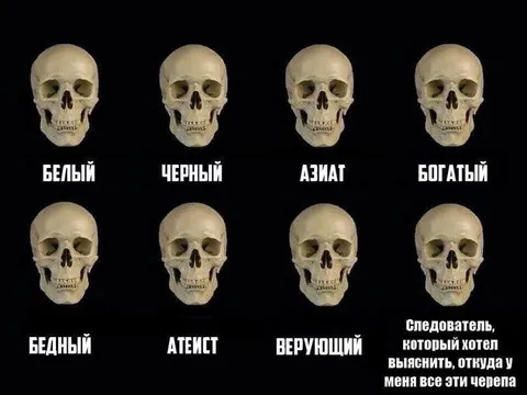 Черепа для всех категорий