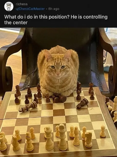 Cat Controls the Center