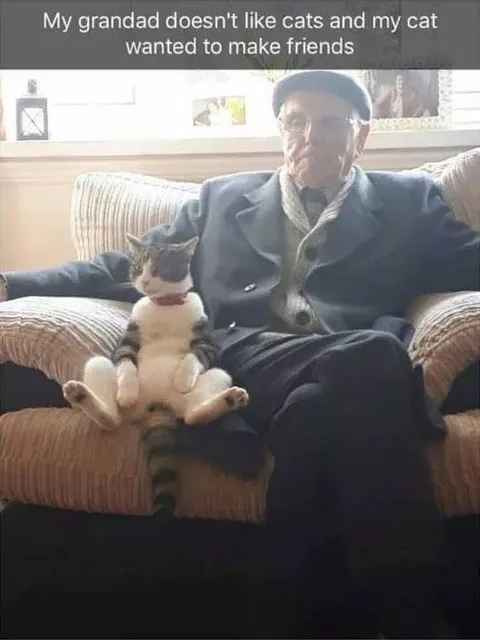 Grandad Makes Friends With Cat