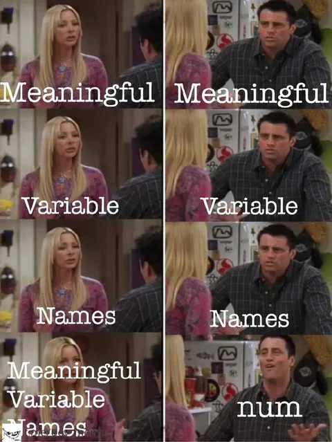 Meaningful Variable Names Meme