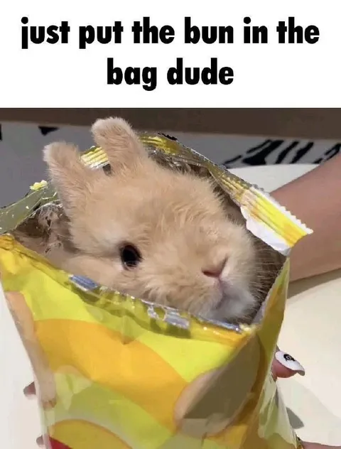 Just Put the Bun in the Bag