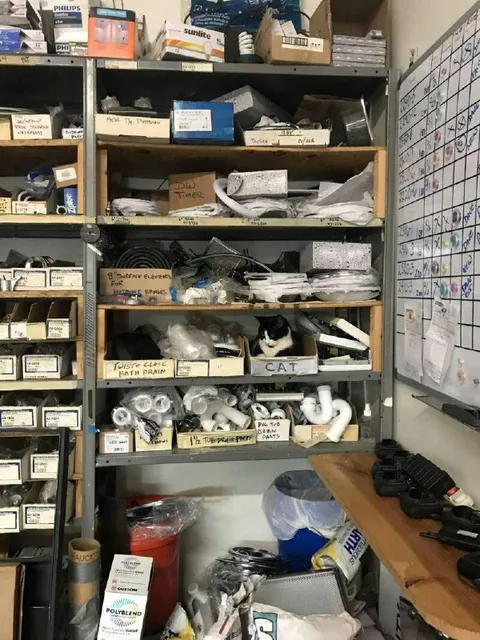 The Cat Belongs on the Shelf