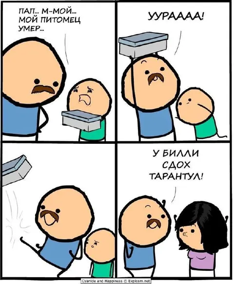 У Билли сдох тарантул