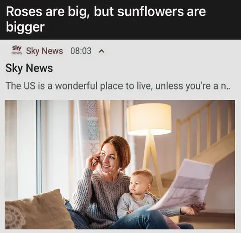 Roses Are Big, Sunflowers Bigger