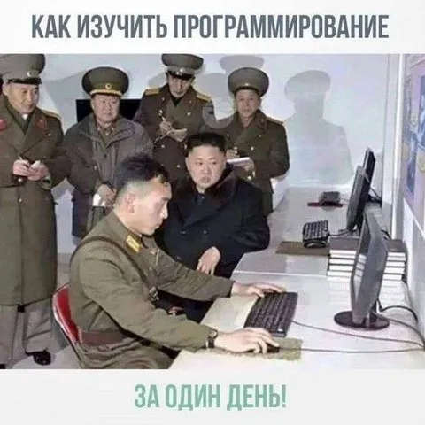 Как изучить программирование за день
