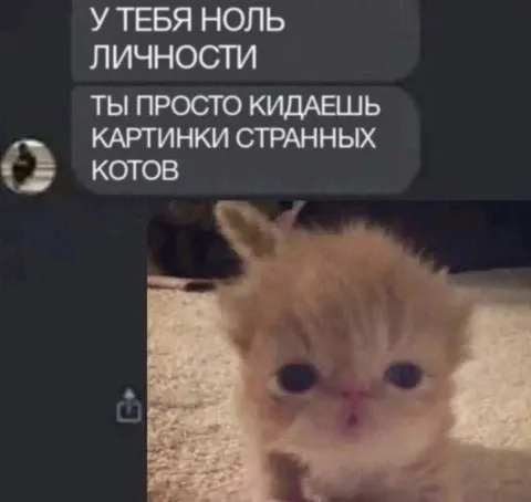 Ноль личности, только странные коты
