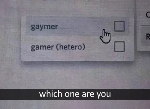 Which Gamer Are You