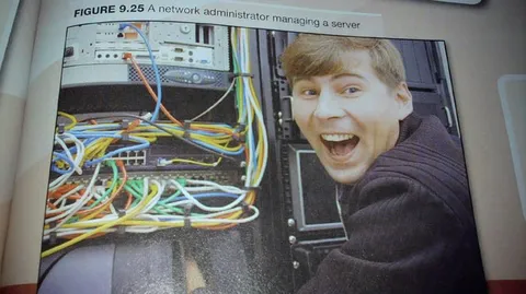 Network Administrator Managing a Server