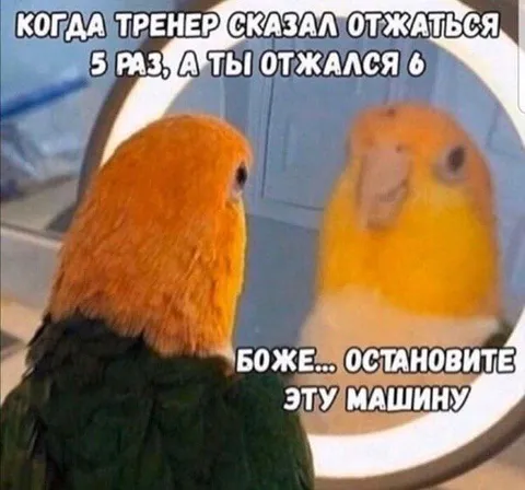 Попытался сделать на одно отжимание больше