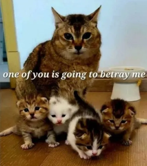 One of You Will Betray Me