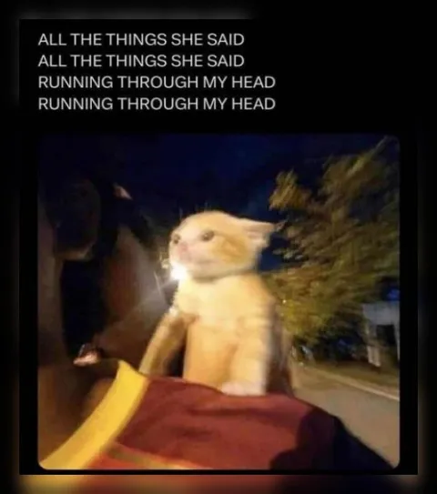 All the Things She Said Cat