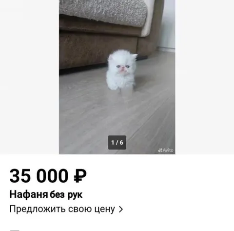 Нафаня продаётся по частям
