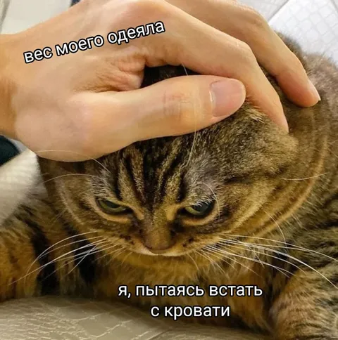Вес одеяла не даёт встать