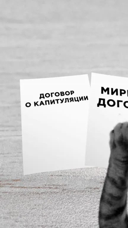 Кот переговорщик и договор о капитуляции