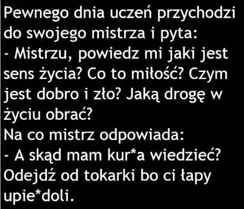 Mistrz nie zna sensu życia