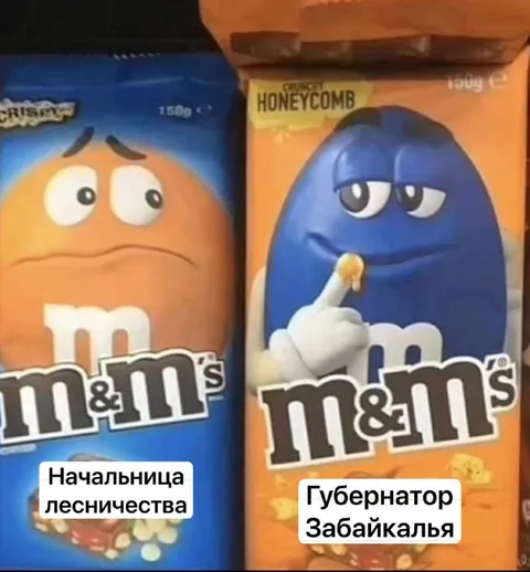Начальница лесничества и губернатор Забайкалья
