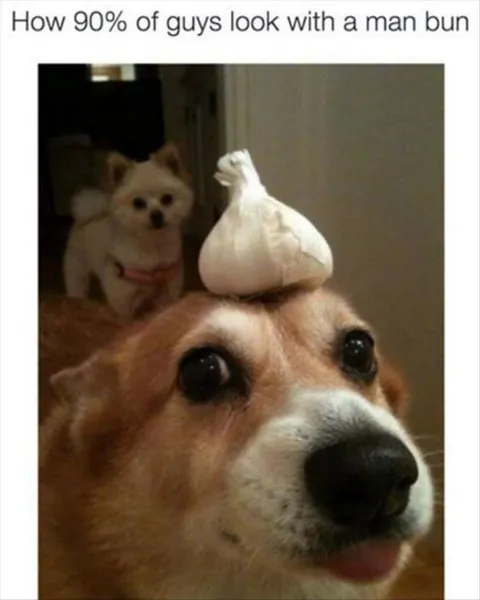 Dog With a Garlic Man Bun