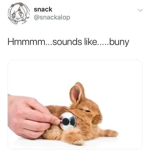 Sounds Like Bunny