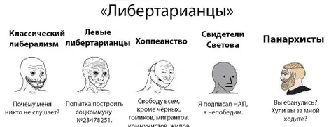 Либертарианцы и их разновидности