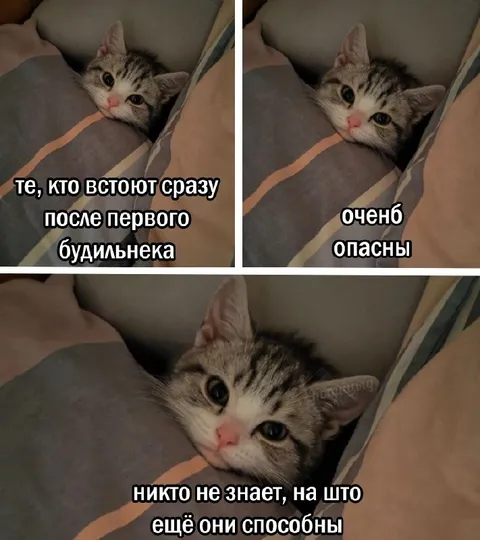 Вставшие после первого будильника