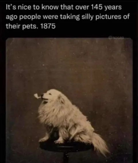 Silly Pet Picture from 1875