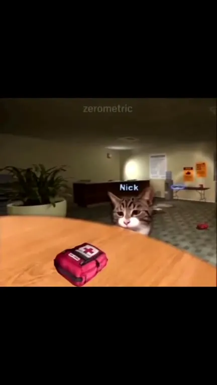 Nick Wants the First Aid Kit