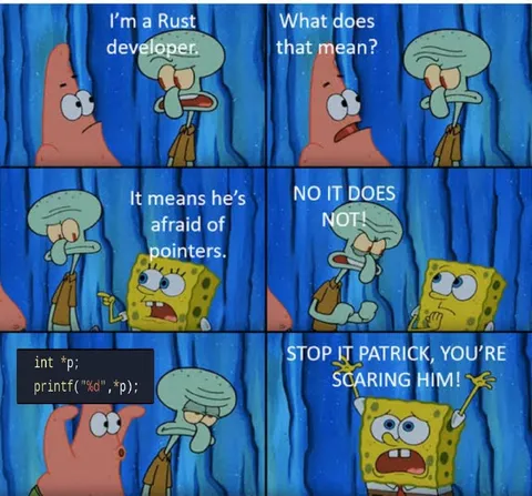 Rust Developer Afraid of Pointers