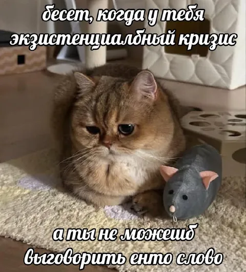 Кот не может сказать это слово