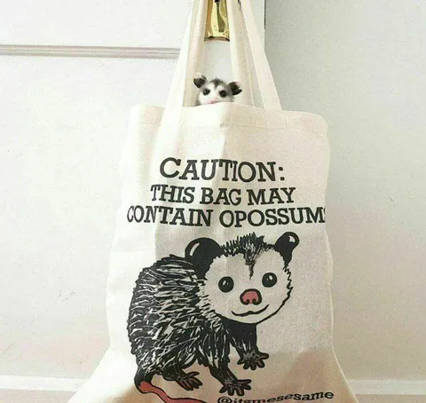 Caution Opossum Bag
