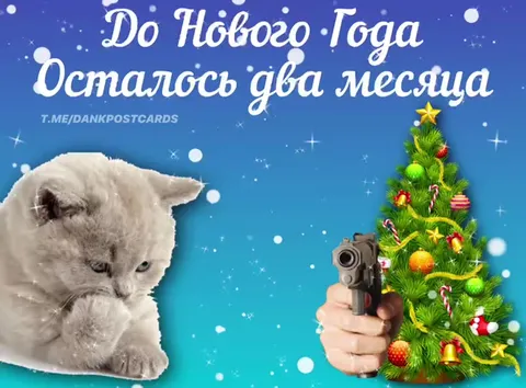 До Нового года осталось два месяца
