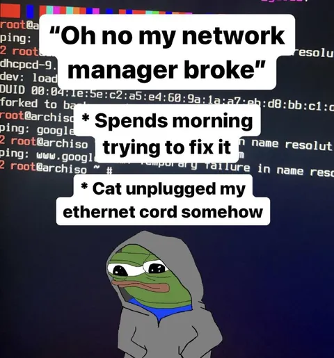Cat Unplugs the Ethernet Cable