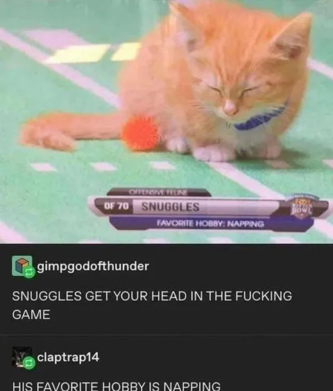 Snuggles Gets His Head in the Game