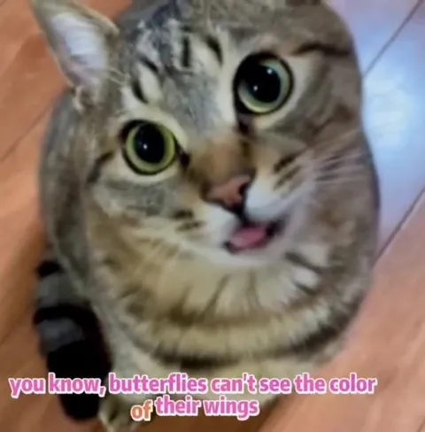 Others See How Amazing You Are