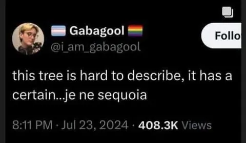 Je Ne Sequoia Tree Pun