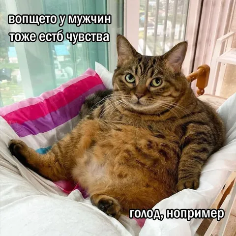 У мужчин тоже есть чувства