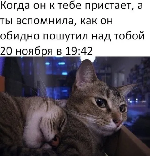 Когда вспомнила обидную шутку