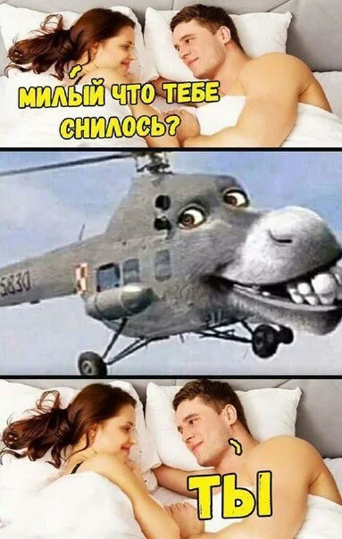 Милый, что тебе снилось?